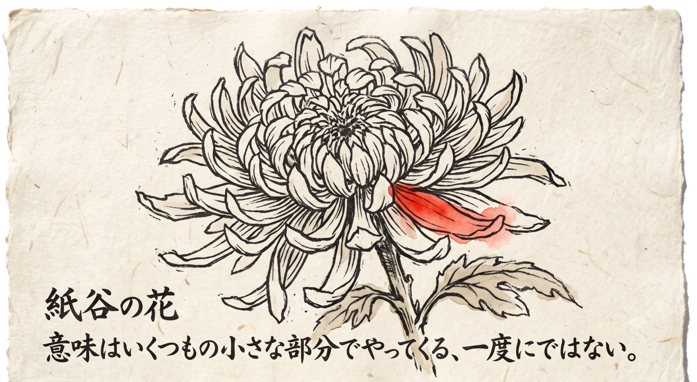 Line drawing of a chrysanthemum with many petals, one brushed in red